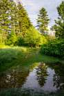 USA, Vermont, Stowe. Trees reflected in springtime puddle Art Print